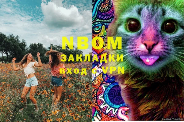 PSILOCYBIN Балахна